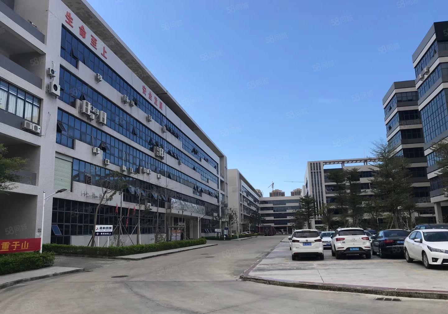 东江高新区长方照明3200平出租 13元平（年前特惠）