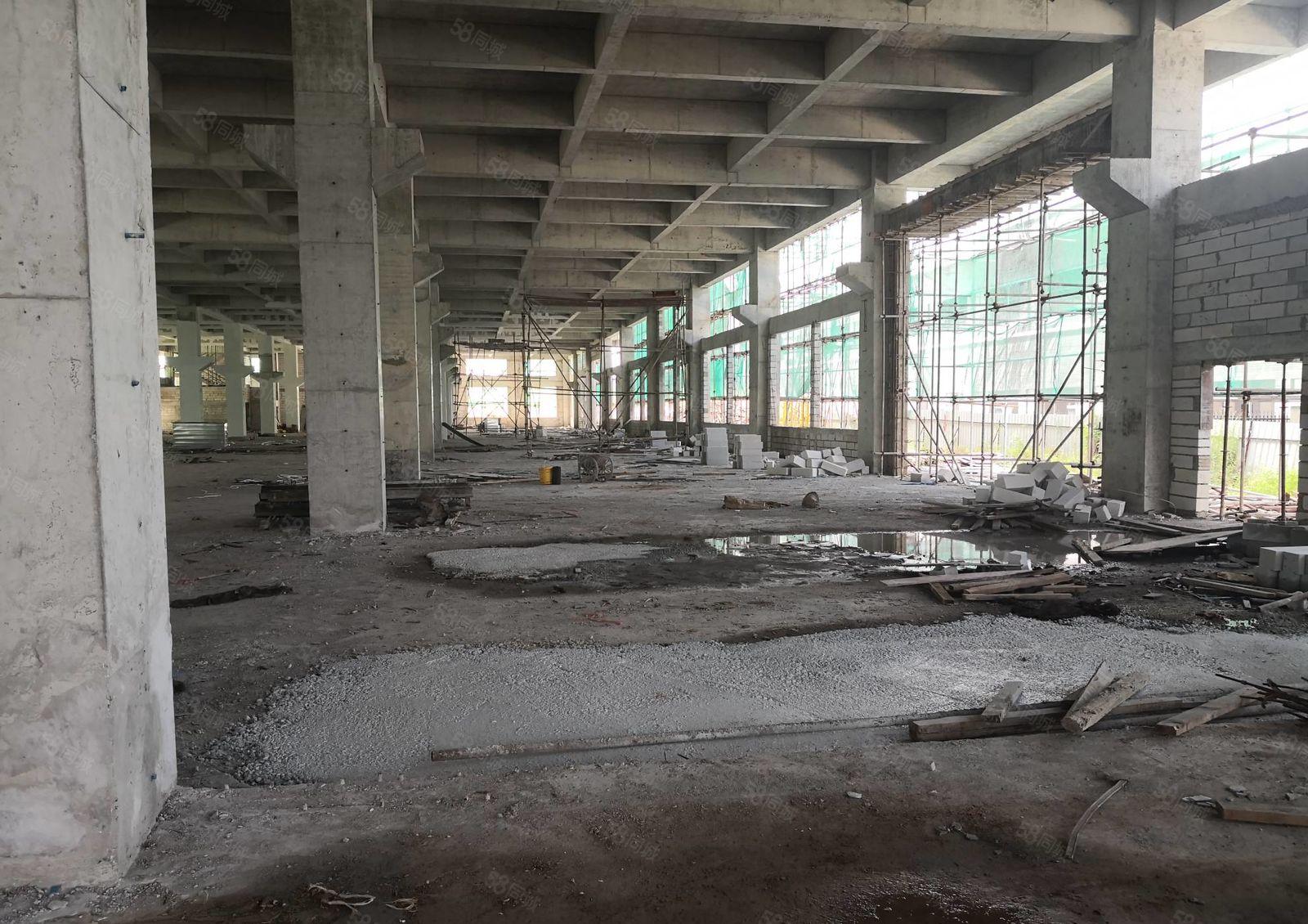 惠城区水口全新高端重工业厂房30000平方出租