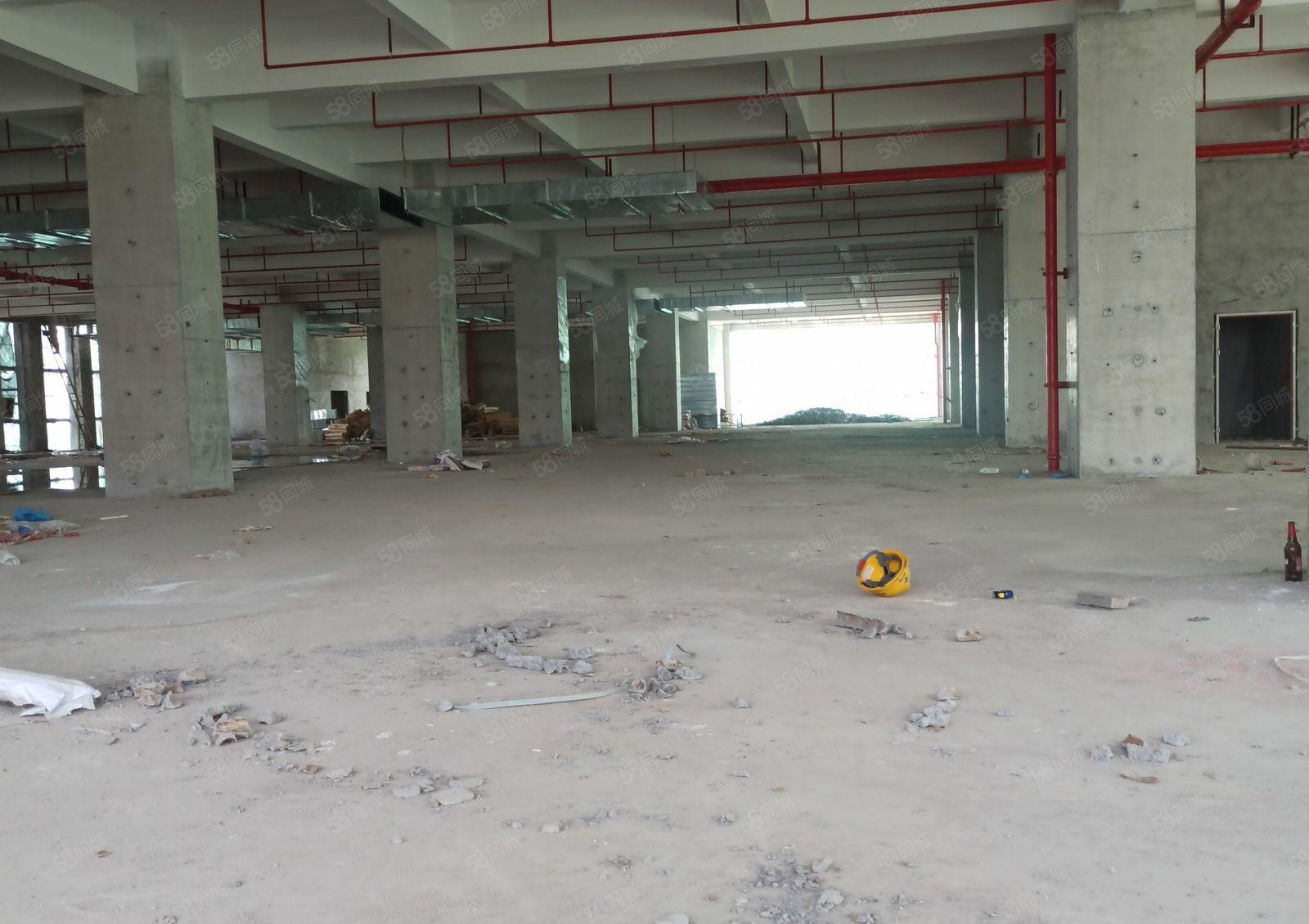 高新区三栋数码园1楼高度6.5米 2楼高度5.5米。可分层租