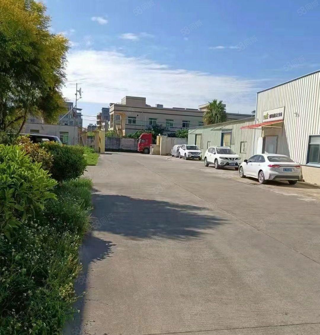 三栋镇独栋3800平红本钢构厂房滴水9米 可分租