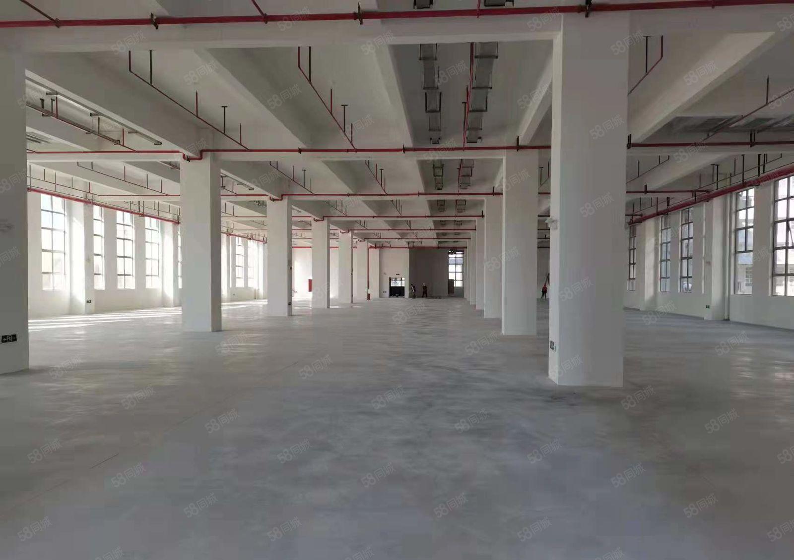 水口东江湾千亿产业园3万平米，面积1000平起租