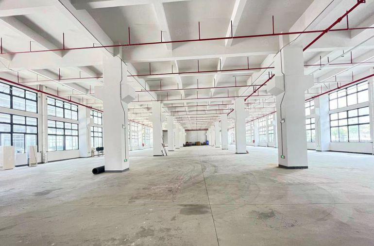 清盘6块!水口单层2000平全新园区厂房实际面积出租.