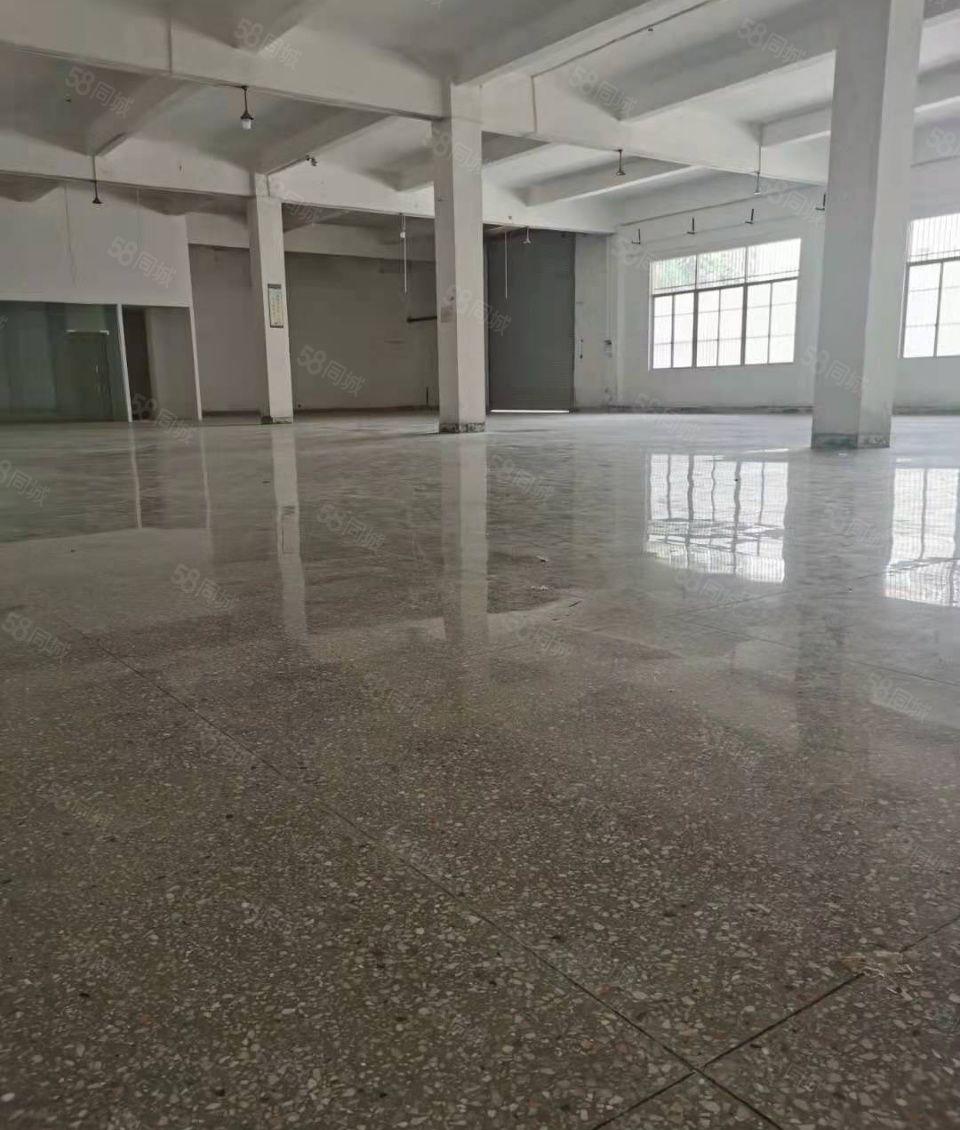 小金柏岗独院厂房3200平米出租 租金13元 有证件 可分租
