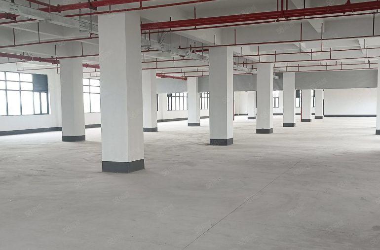 马安新乐 原房东红本全新标准厂房1000平起租 租金13