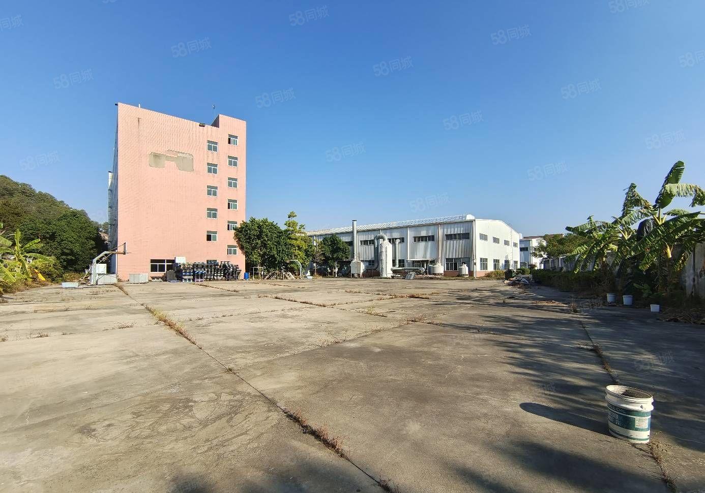 水口花园式独院钢构厂房三栋 每栋2800平米证件齐全可分租