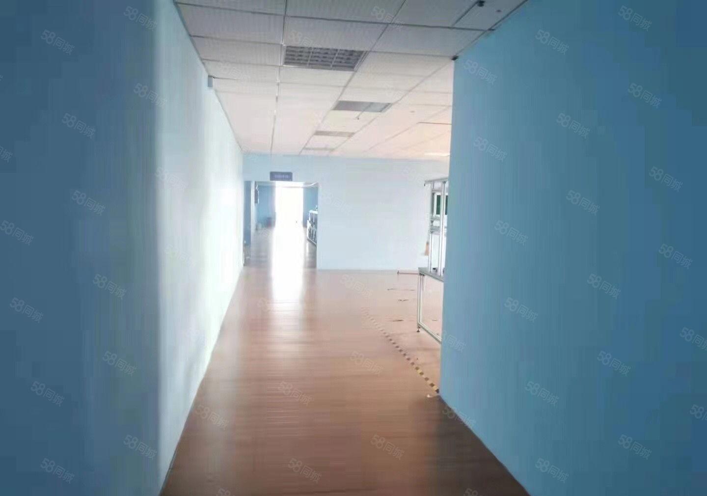 原房东独院厂房，超大空地