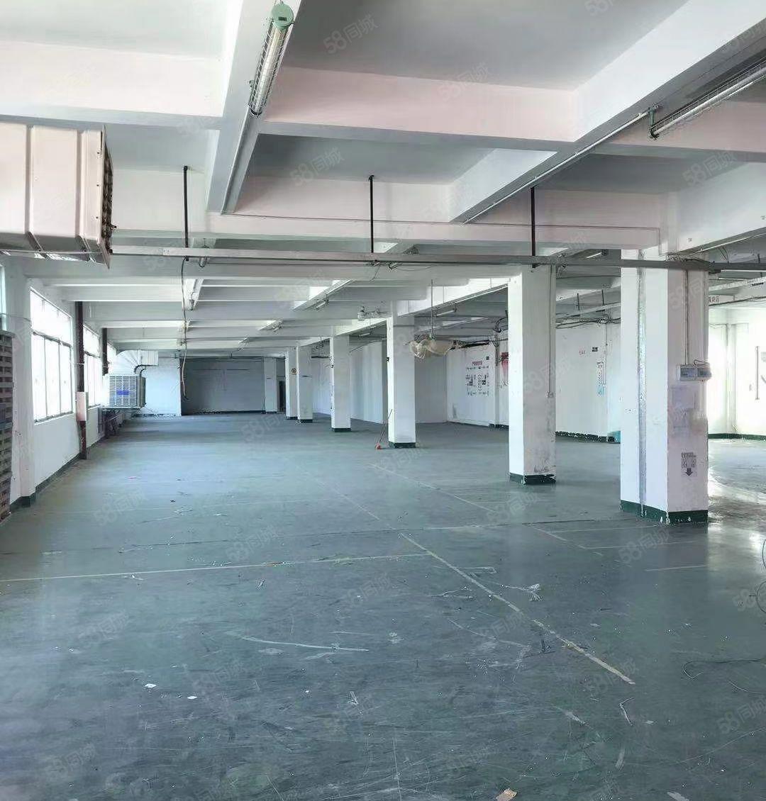 水口龙湖市场旁工业园一楼700平米 层高5.5米 租金16元