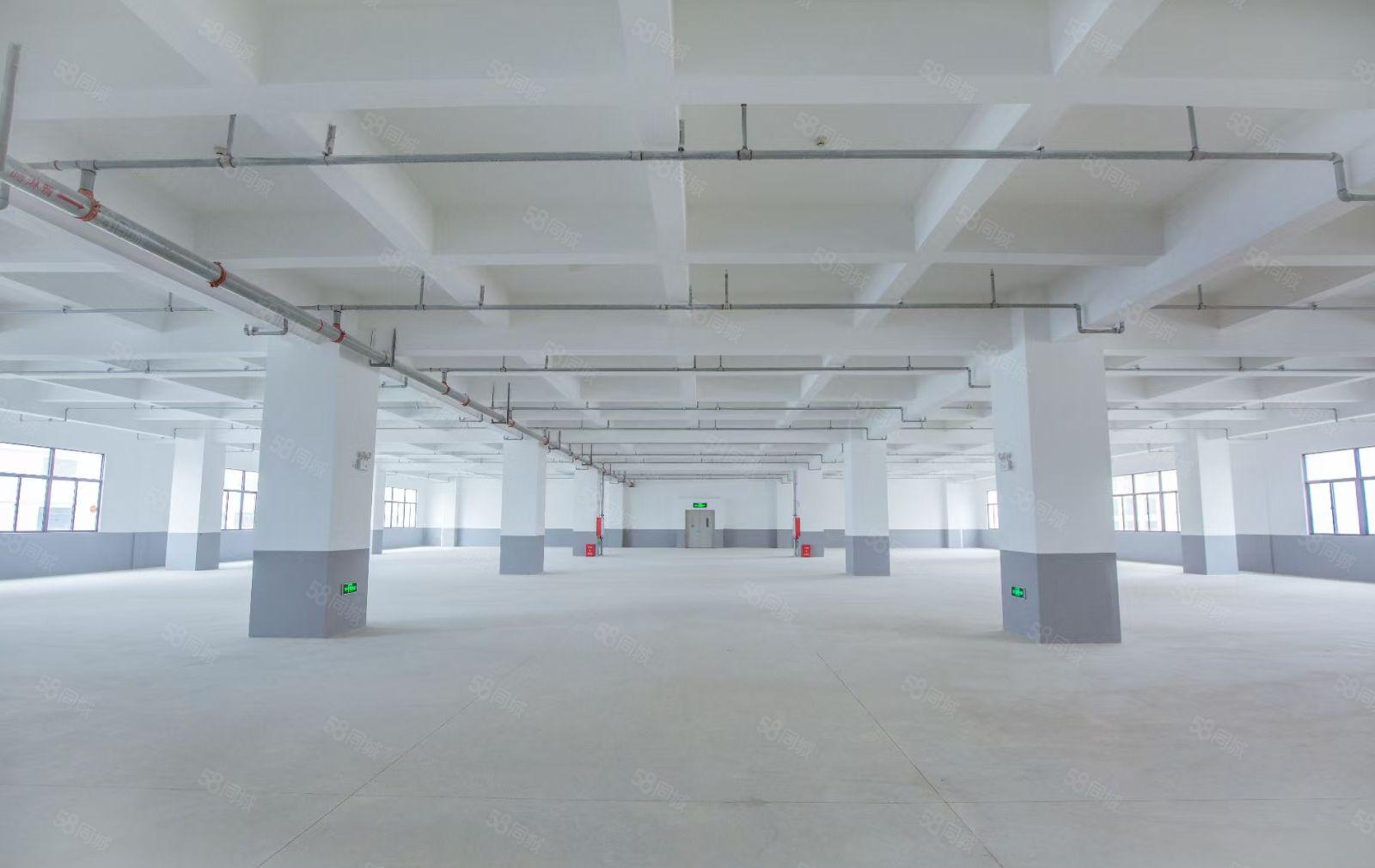 （信）惠城区35万平原房东厂房14元起，大小分租