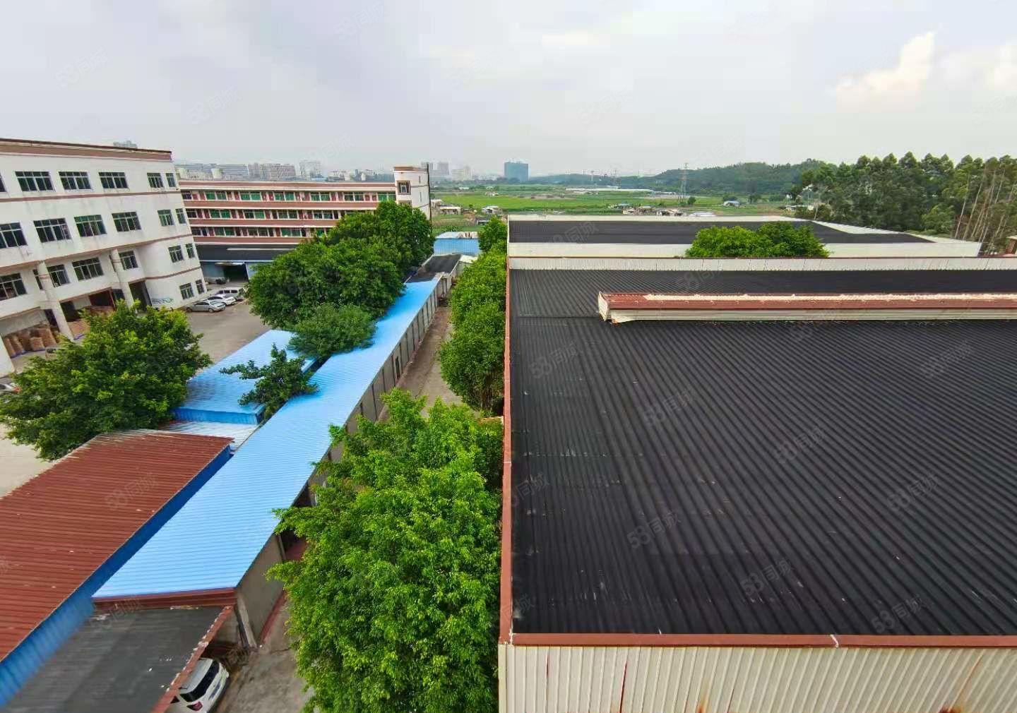 水口独门独院4200平方钢构厂房出租，可以做临时仓库