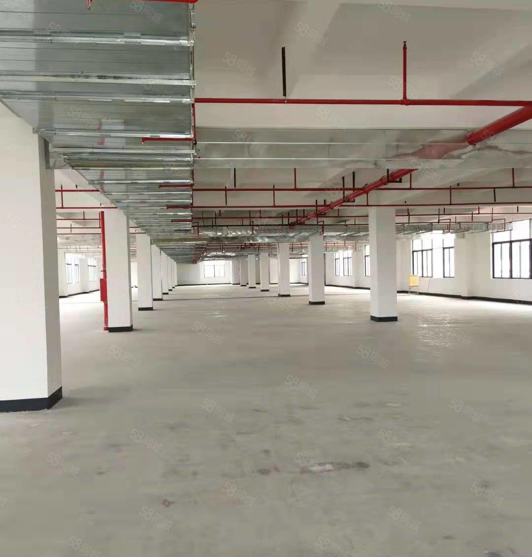 马安全新12楼5200平米独院厂房出租，一楼高度6米可分租
