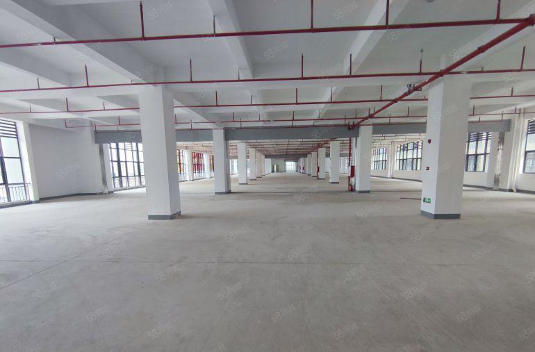 惠城区马安新乐工业区全新独栋标准厂房出租单层面积1300平起