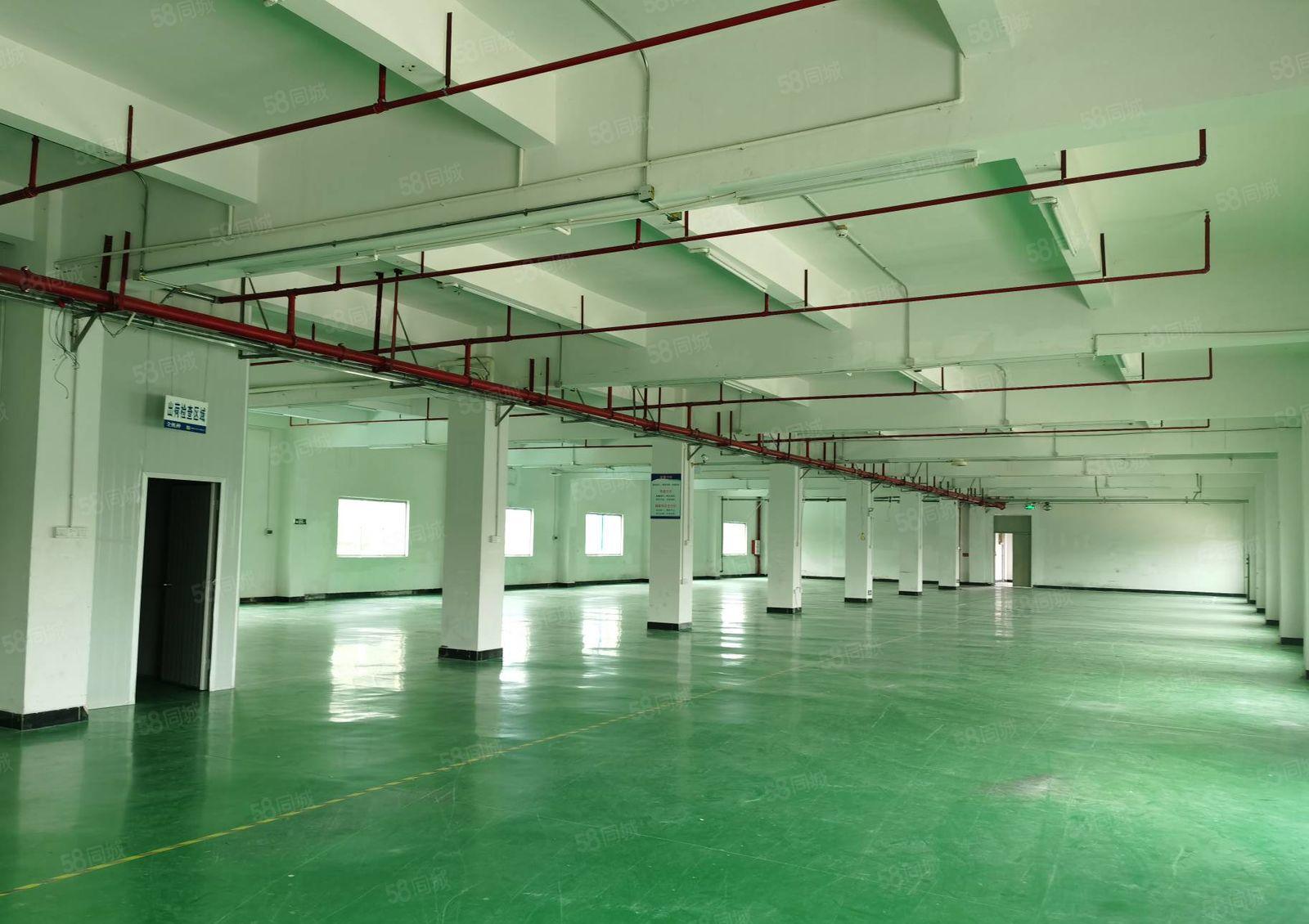 平潭怡发工业园四楼厂房1500平米 现成装修 租金9元可分租