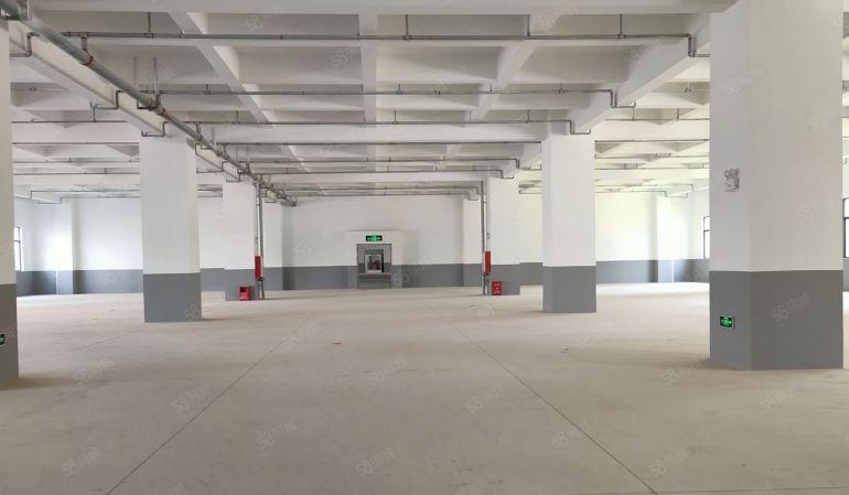 靓惠州水口38万平方花园式红本厂房