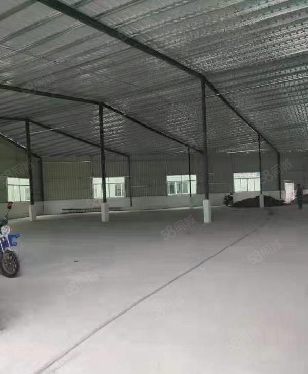 惠城区小金口原房东（800平方）滴水5米钢构厂房 仓库