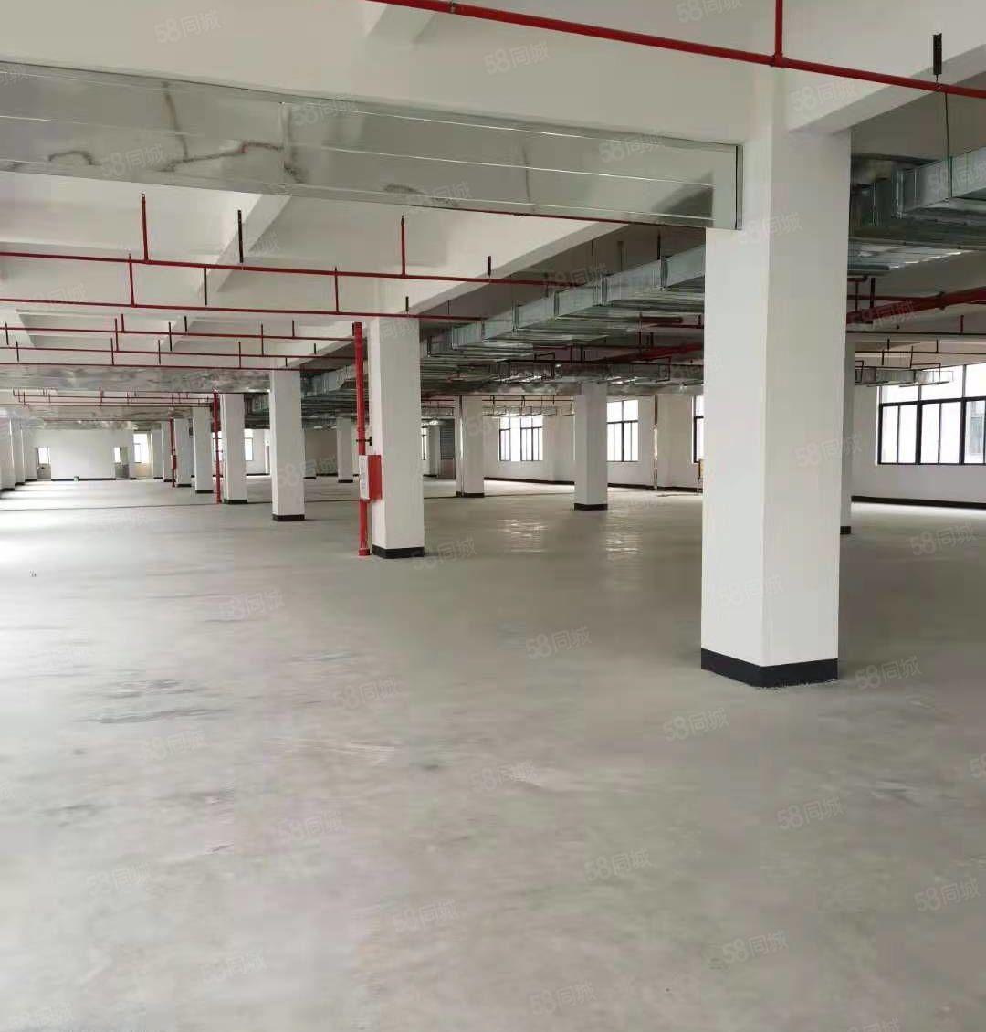 平潭45000平米全新红本独院厂房出租，1000平米起分租