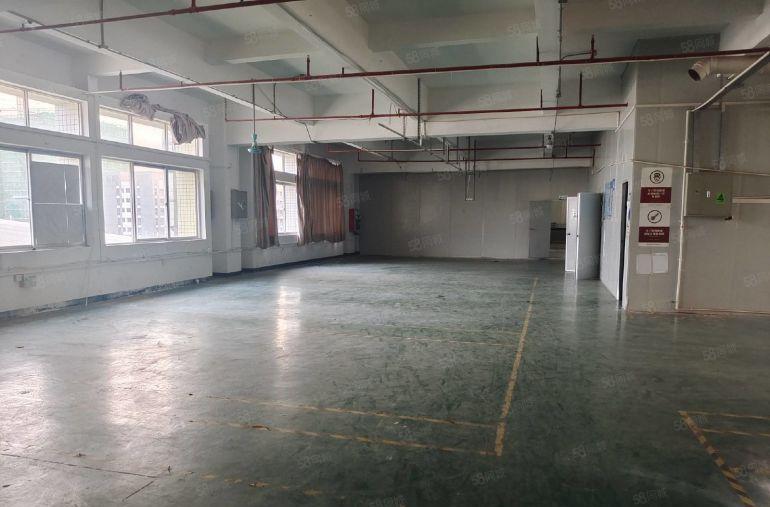 水口湖滨公园 三楼1130平现成装修厂房出租 好招工