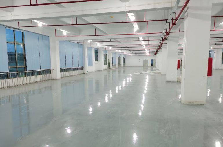 (精装修)东江高新区花园式厂房1500平出租证件齐全