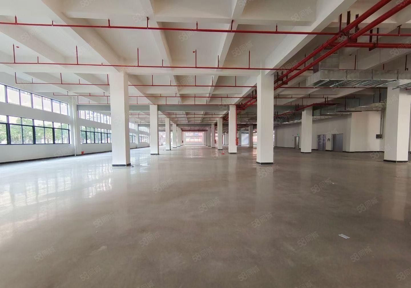 水口平潭厂房易招工空地大独院