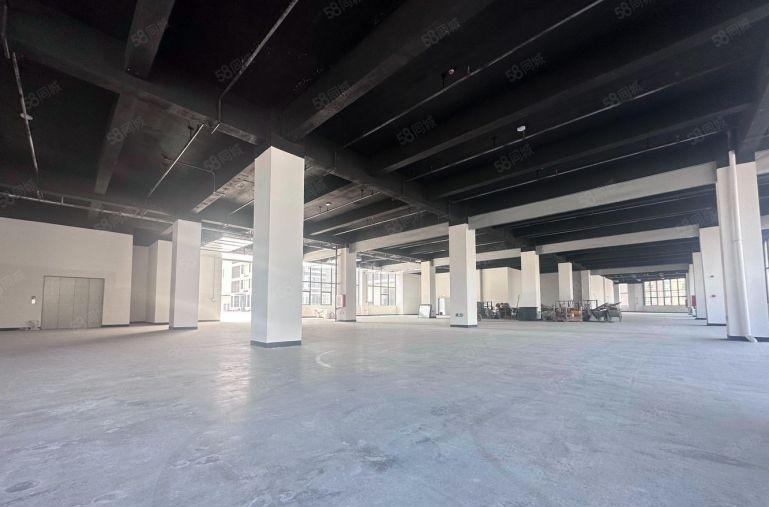 小金高速口全新厂房，还可做写字楼100平方起分