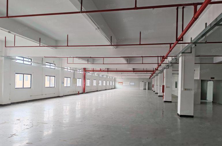 惠城区水口精装修厂房出租 隔断办公室 全新地坪漆 拎包办公