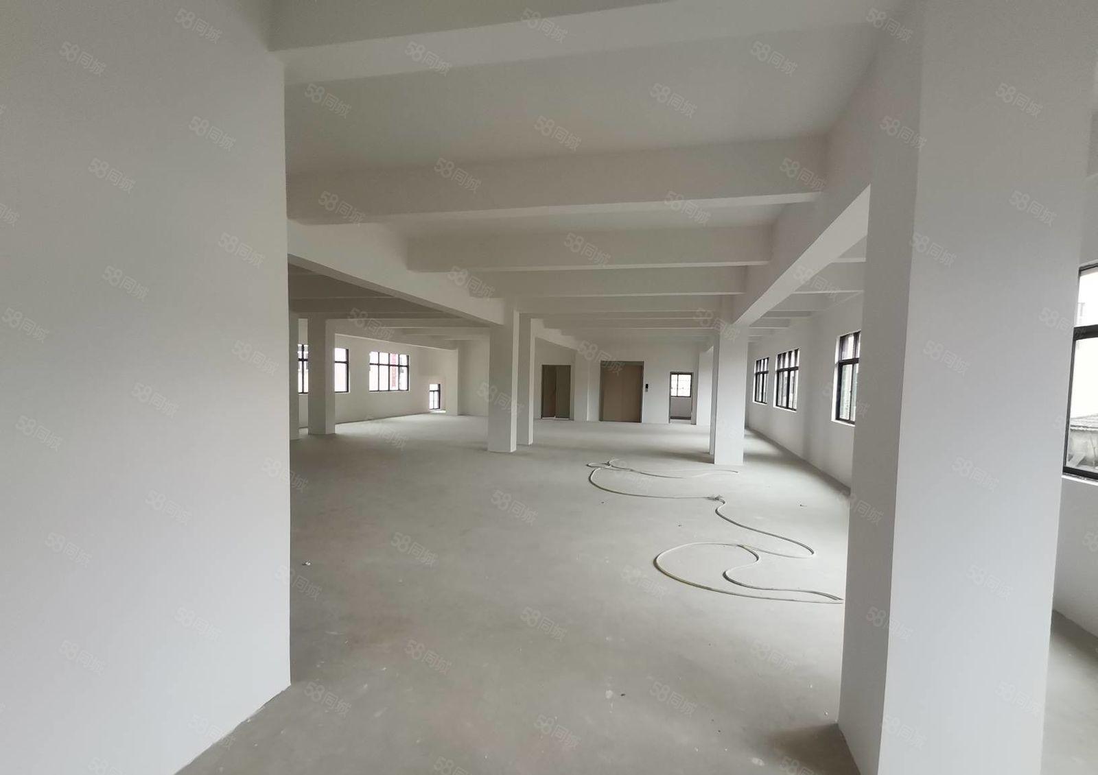 汝湖全新独栋厂房独栋1400平方，带2吨双开门货梯，