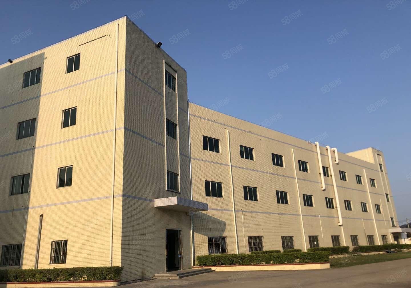 江北 独门独院 标准厂房4800平米出租