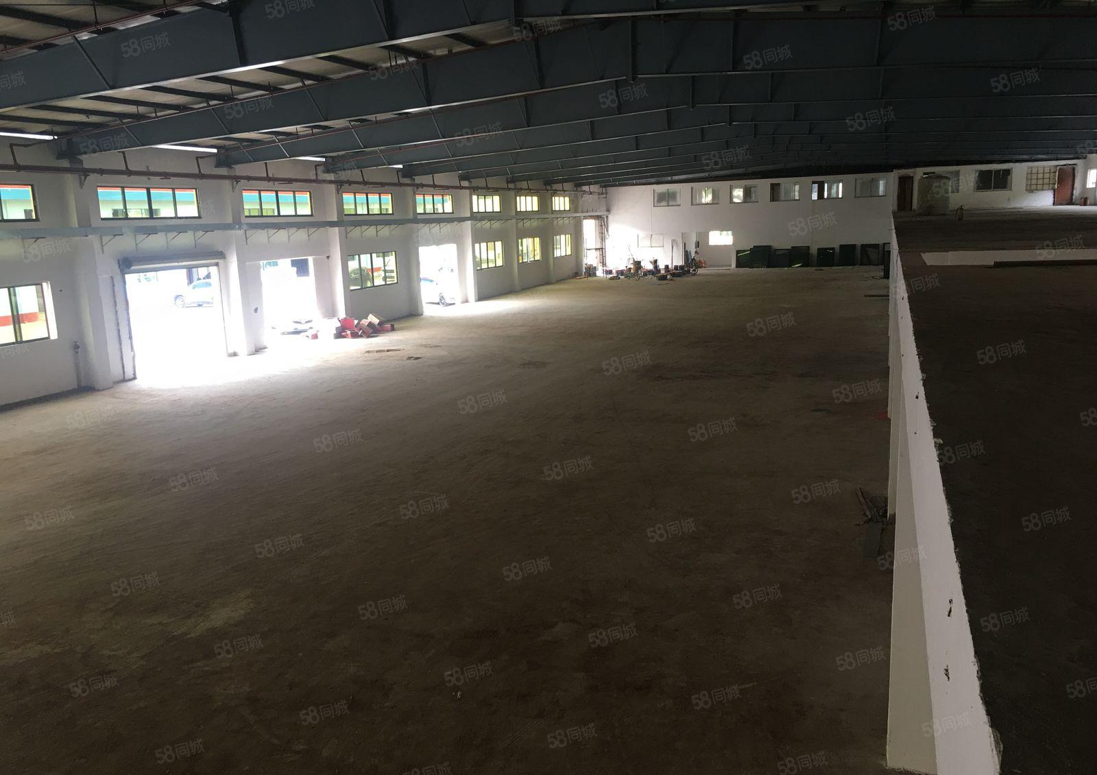 惠城小金口侨兴工业园独栋6400平钢构仓库厂房出租可分租