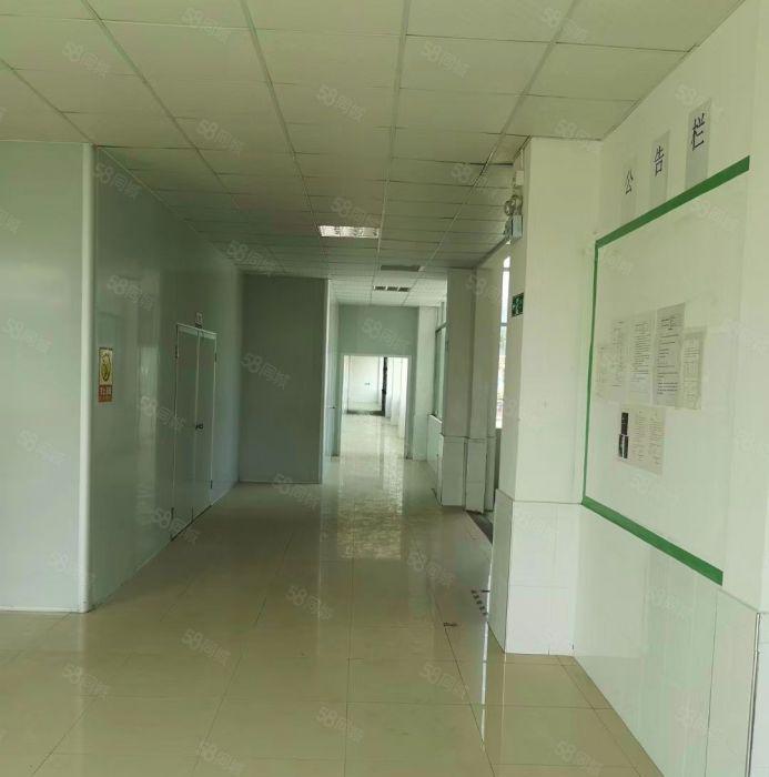 惠惠城区水口原房东标准厂房4500平方出租