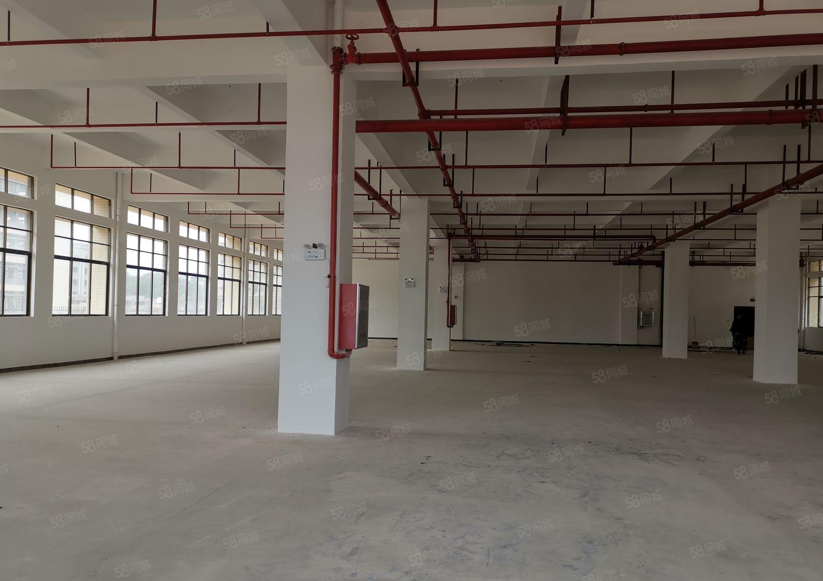 水口龙湖大道边全新标准一楼厂房1350平出租 易招工