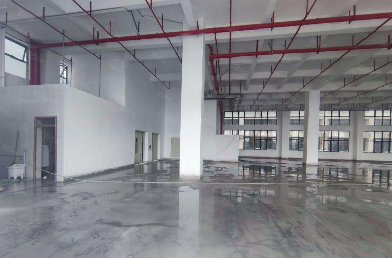 马安标准厂房一楼出租1800平层高7米水磨石地面可以分租一半