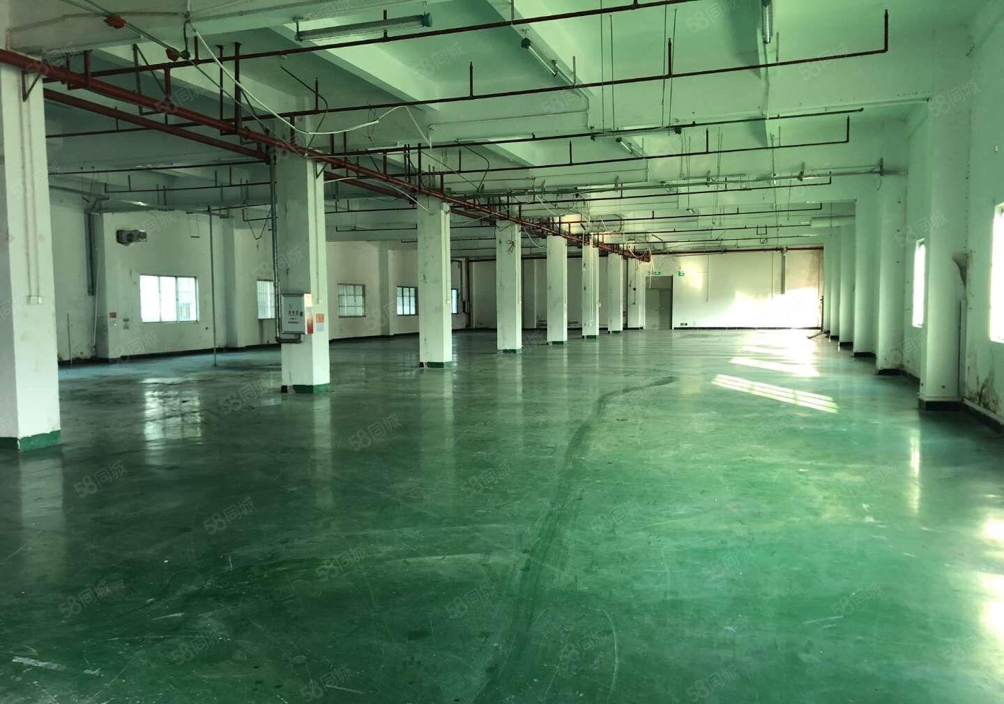 江北 独门独院 标准厂房4800平米出租