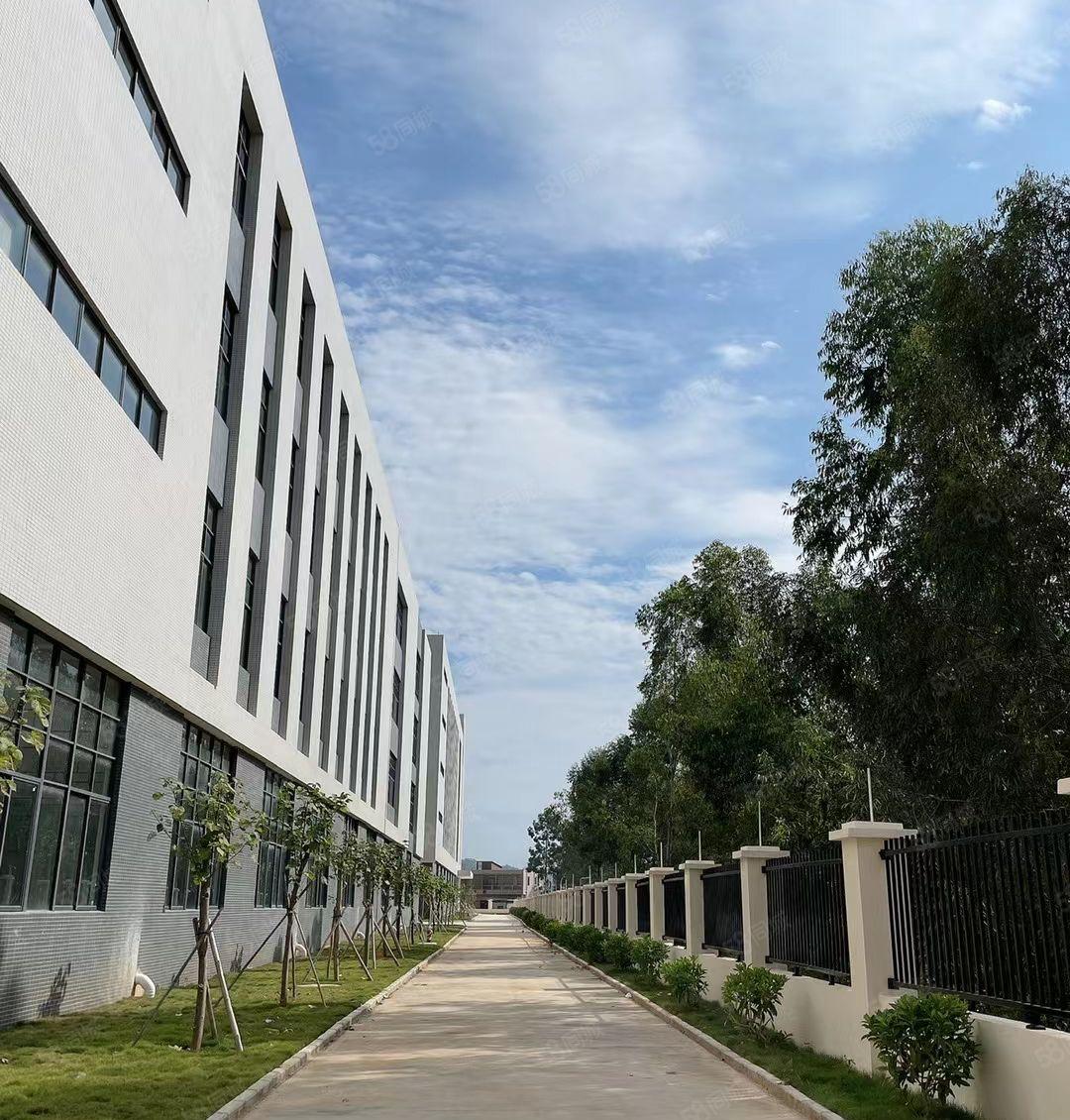 惠城区水口10元厂房出租，厂房形象超好