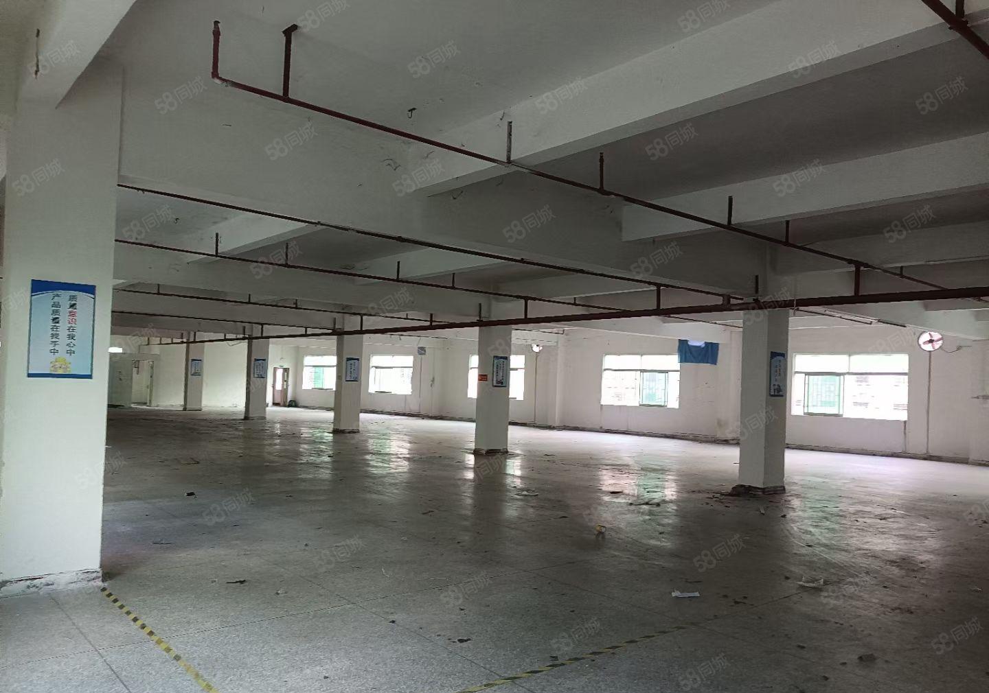惠城水口龙湖大道独院标准厂房4500平招租证件齐全可办环评。