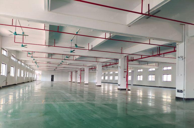 惠城区马安镇新湖工业区2500平5楼精装修办公红本厂房出租