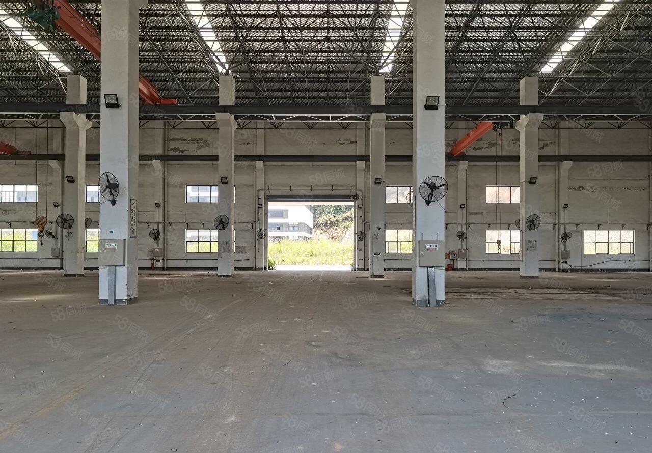 惠州新出标准厂房，原房东红本在手