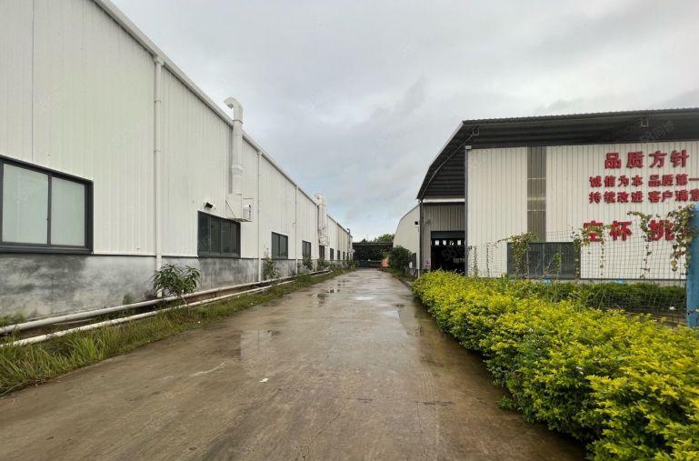 年前特价厂房！仓库出租免租期三个月起大小可分空地很大