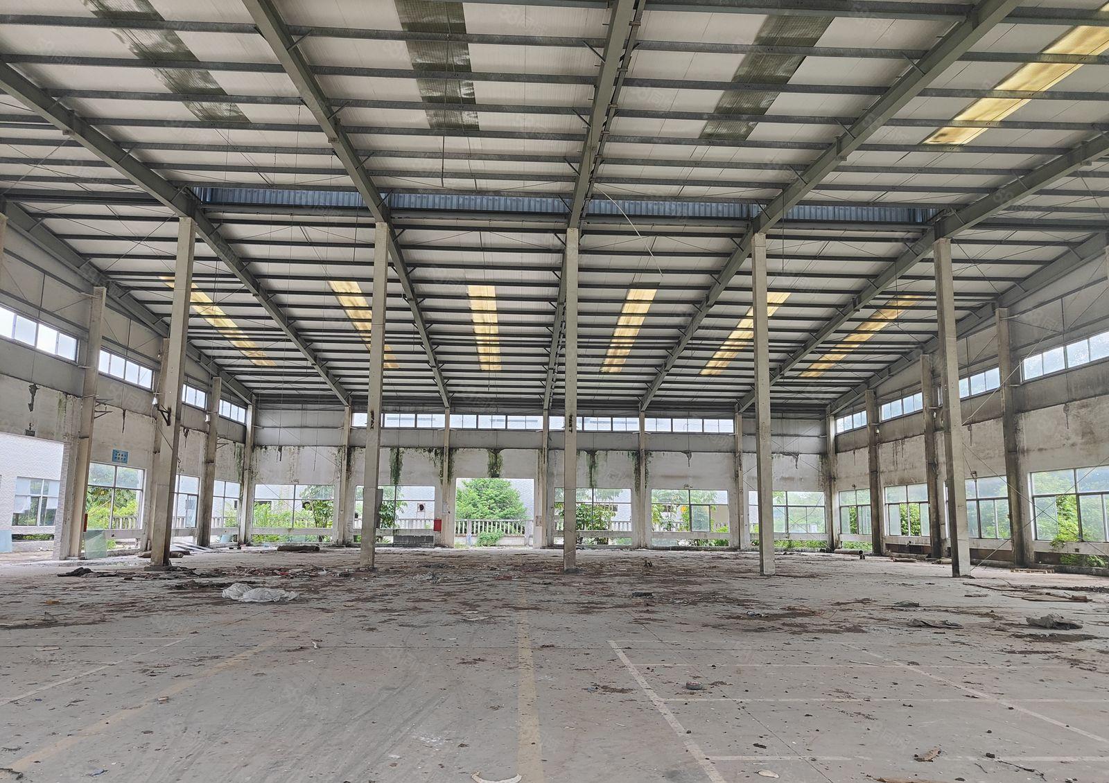 马安新建单层钢构9米滴水12000平米出租 超大空地有证