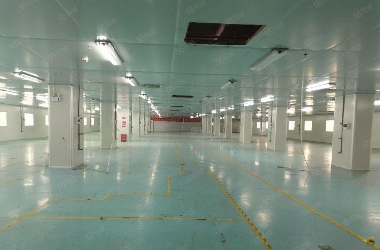 三栋数码园，三四楼无尘车间每层2796平方低价急租