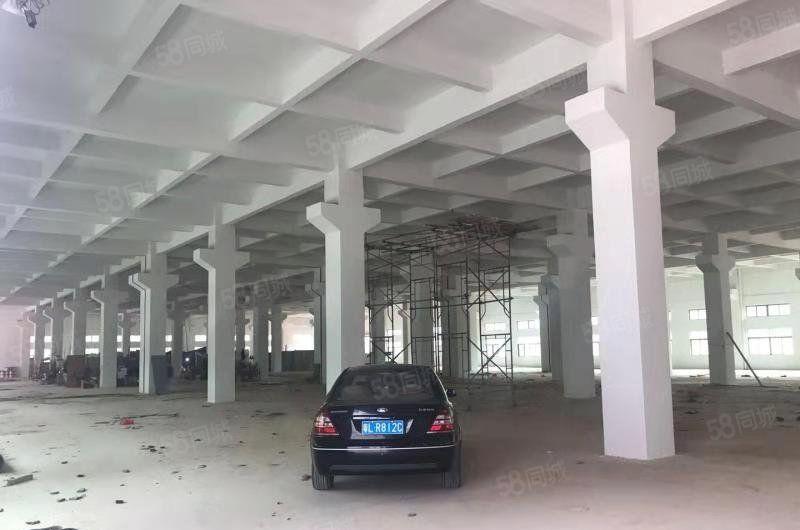 惠博大道附近原房东厂房一楼2650平方厂房出租