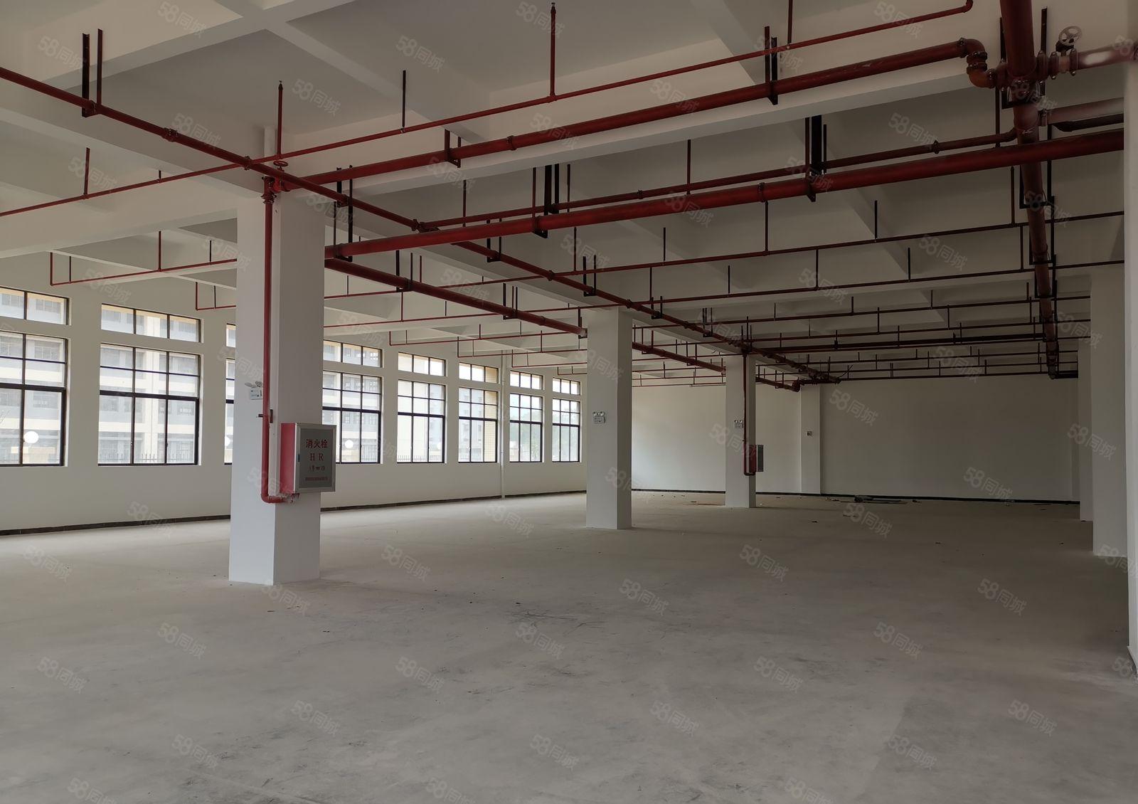 三栋新出一楼厂房1000平 租16元 适合小加工行业