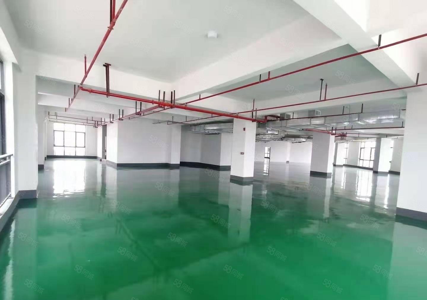 马安江誉城附近新空出780平方现成地坪漆装修红本厂房出租