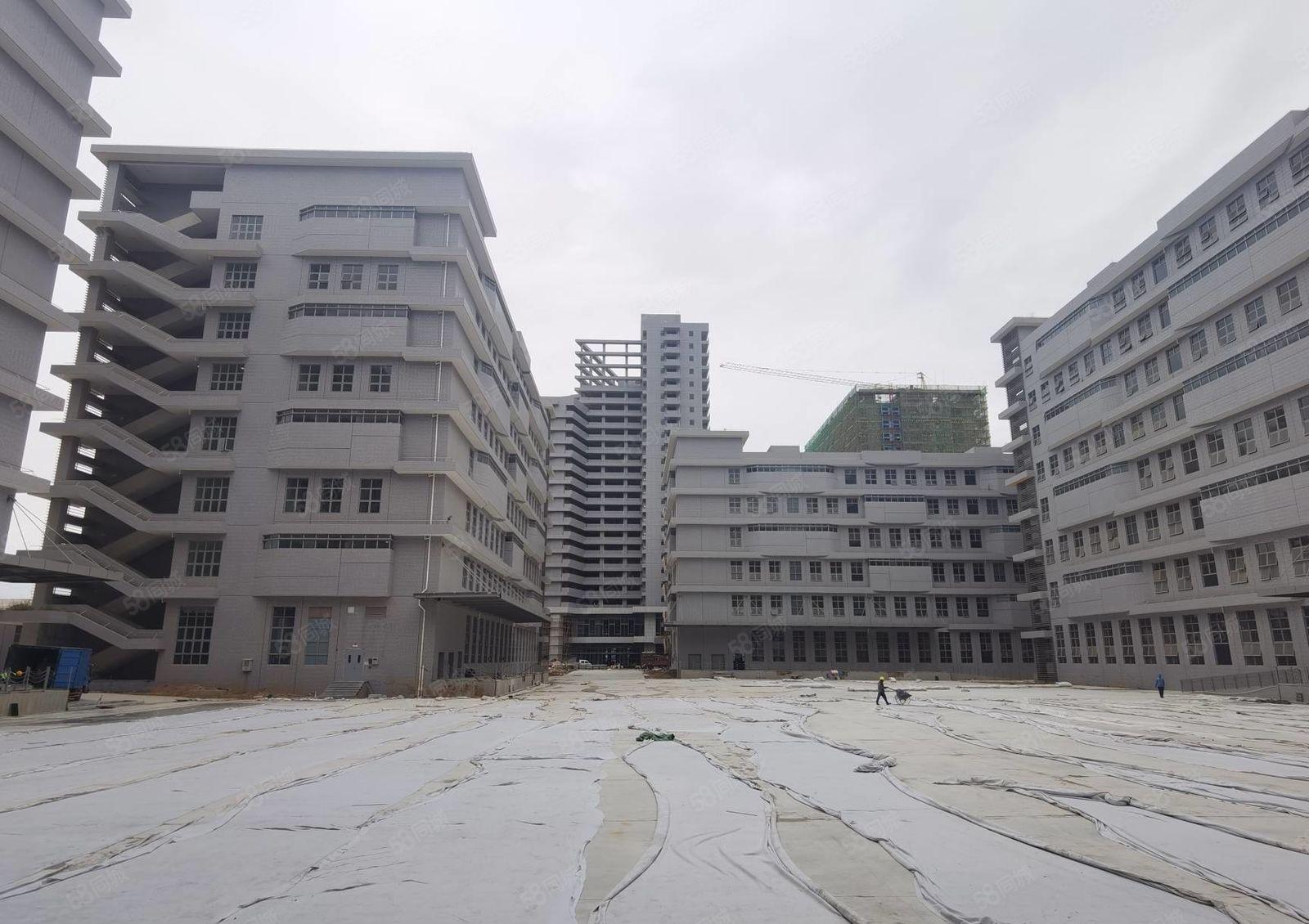 水口东江工业区原房东全新厂房一二楼5200平米 可以分租