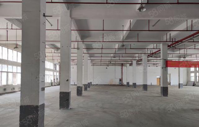 惠城小金口标准厂房2800方出租 可分租