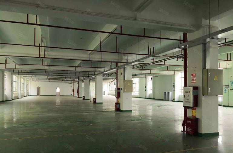 惠惠城区水口原房东独院厂房8000平方出租