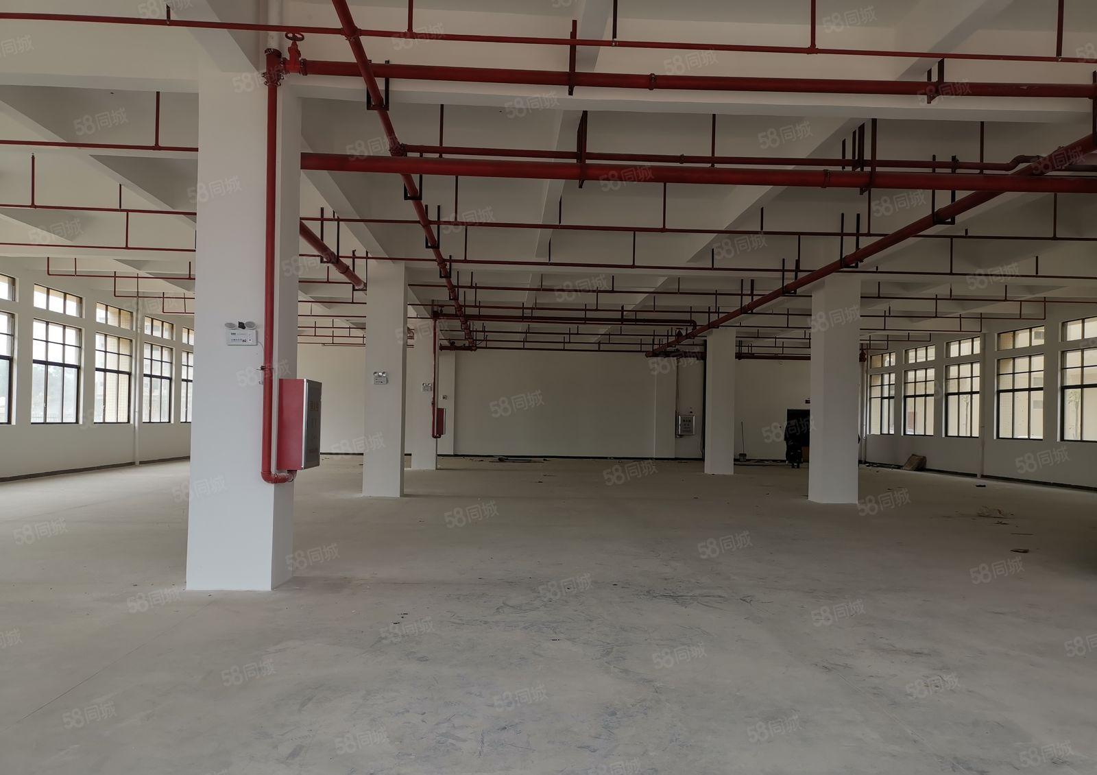 三栋全新原房东红本厂房1550平方9.9元起出租 配套完善