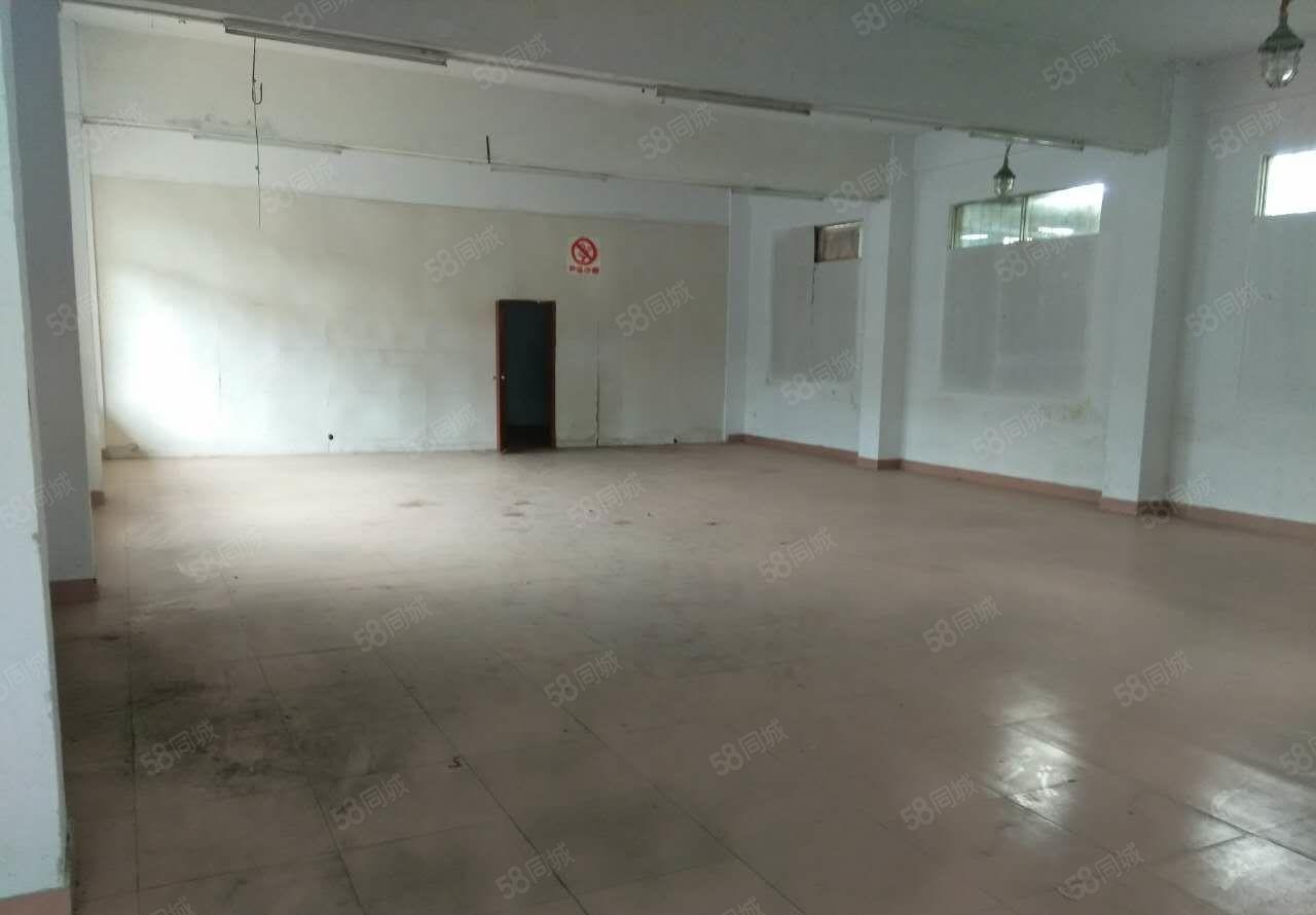 小金口大树岭独院标准厂房1300平米  单一个独院