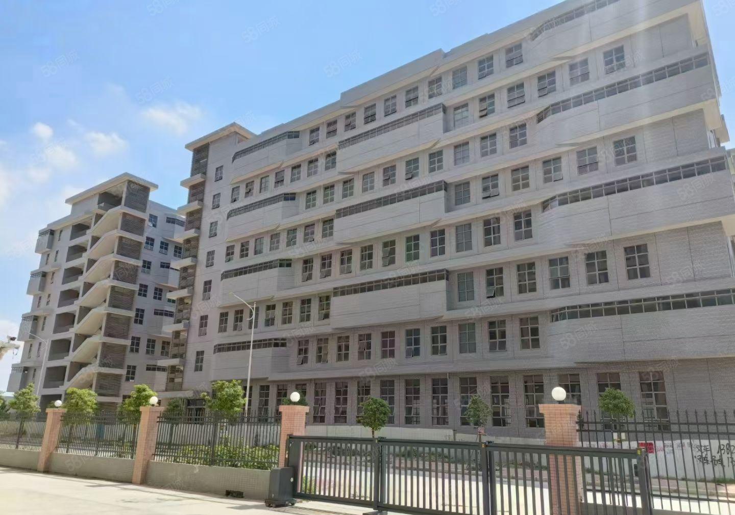 水口东江湾高端产业标准厂房出租 上市公司！