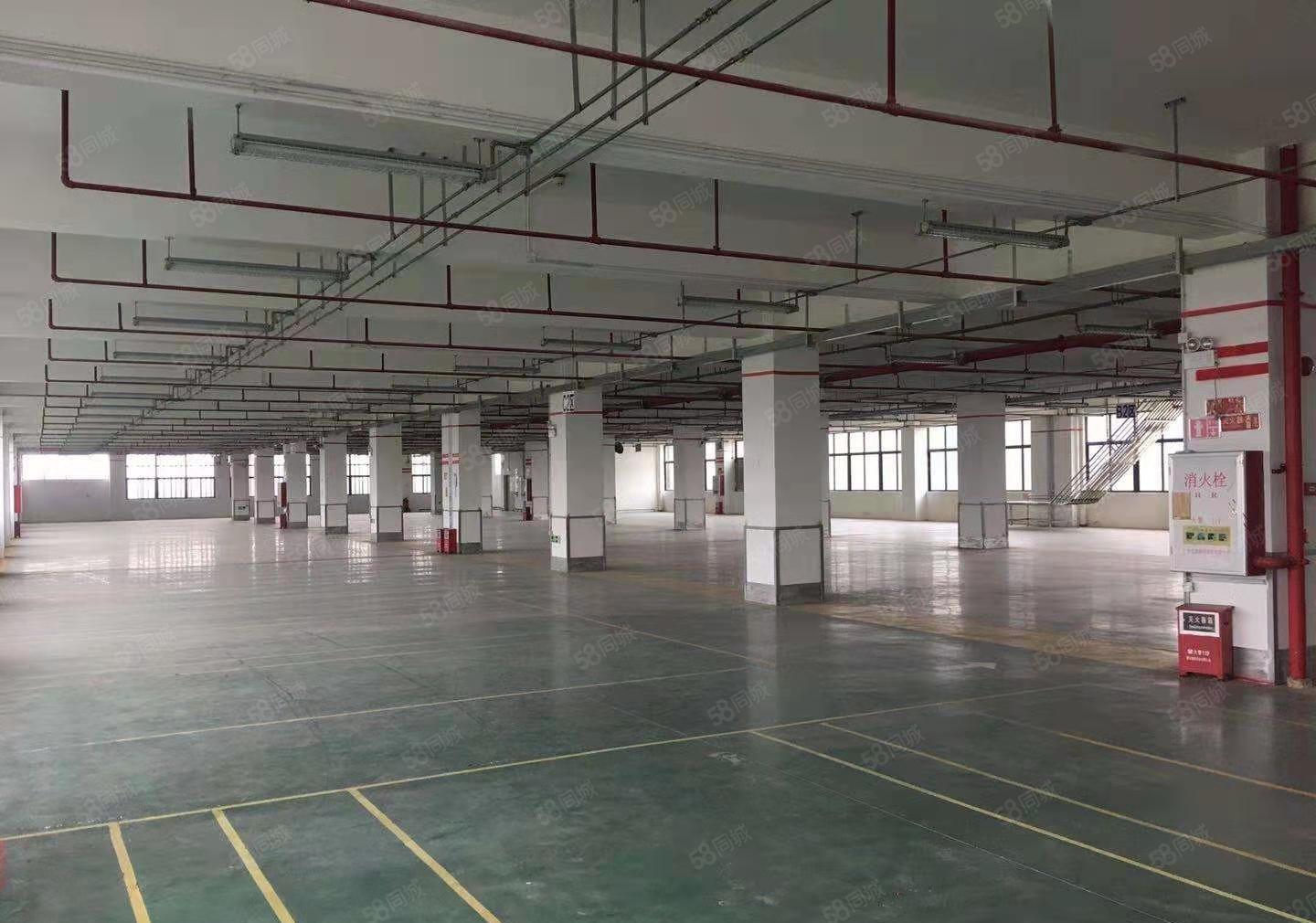 惠城水口工业园占地面积20万平方厂房仓库出租500平起租