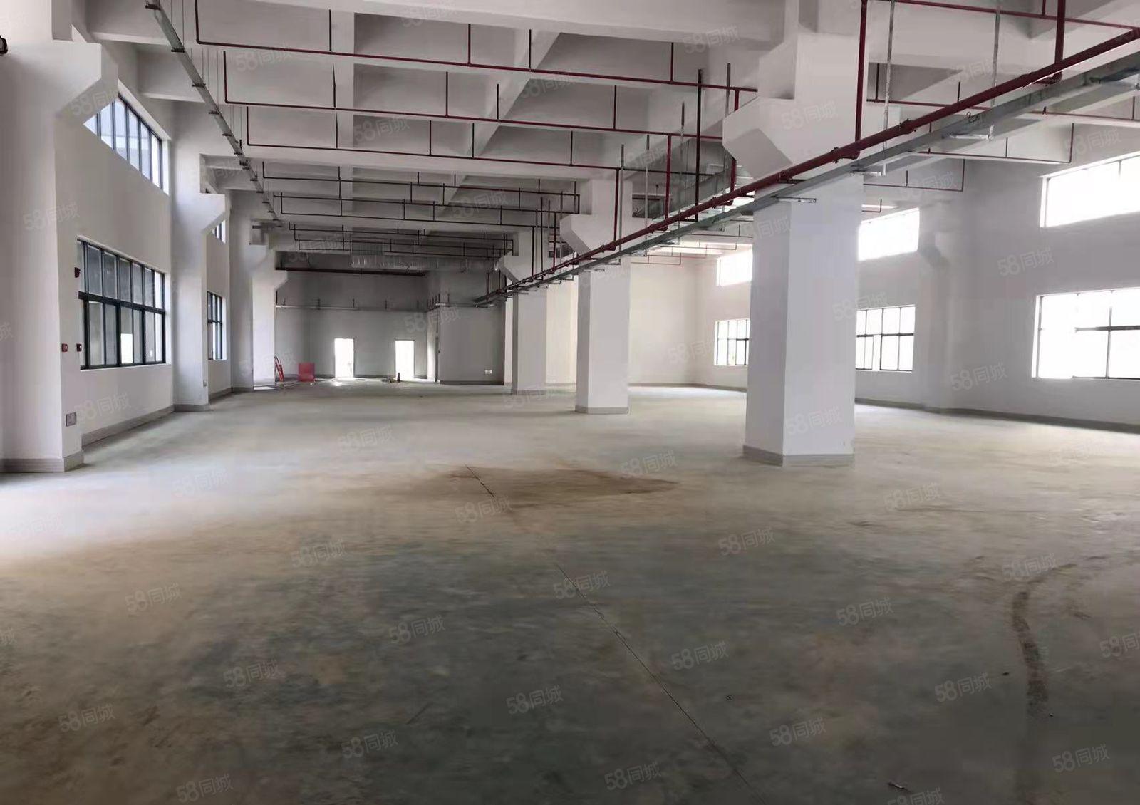 惠城水口新出全新原房东标准厂房 大小可分 可办环评