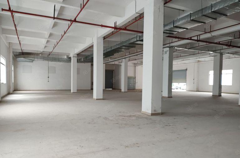 惠州泰美一楼1600平方6米高证齐工业园